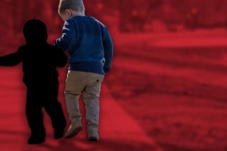 Změnily se normy, mít děti je luxus. ‚Dokud drží křehká společenská rovnováha, přijdou na svět,‘ říká sociolog